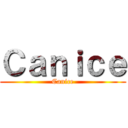 Ｃａｎｉｃｅ (Canice)