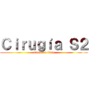 Ｃｉｒｕｇíａ Ｓ２ (attack on titan)