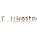 １° ｔｒｉｍｅｓｔｒｅ (snk)