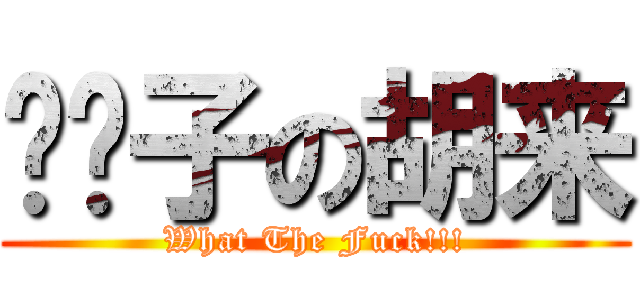门帘子の胡来 (What The Fuck!!!)