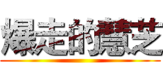 爆走的慧芝 ()