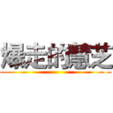 爆走的慧芝 ()
