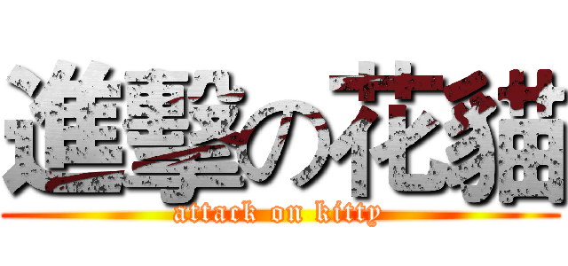 進擊の花貓 (attack on kitty)