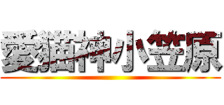 愛猫神小笠原 ()