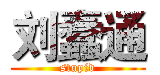 刘蠢通 (stupid)