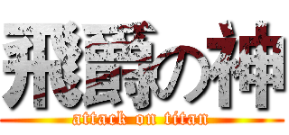 飛爵の神 (attack on titan)