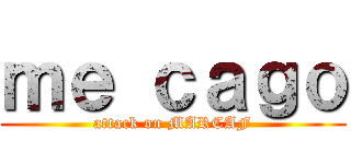 ｍｅ ｃａｇｏ (attack on MARCAF)