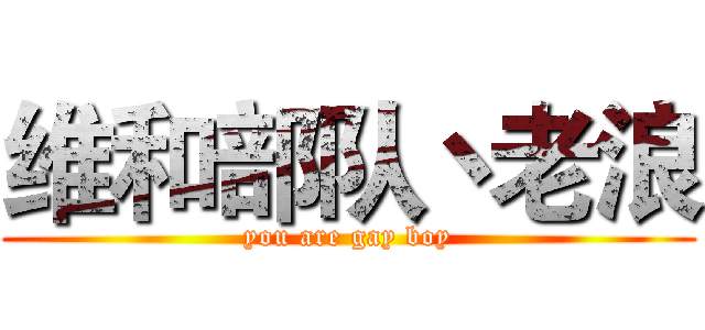 维和部队丶老浪 (you are gay boy)