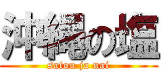 沖縄の塩 (satou ja nai)