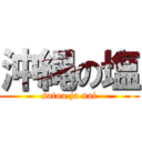 沖縄の塩 (satou ja nai)