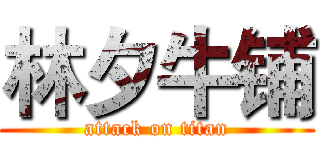 林夕牛铺 (attack on titan)