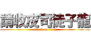請收皮司徒子龍 (attack on titan)