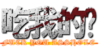 吃我的屌 (FUCK YOU ASSHOLE)