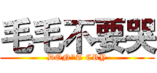 毛毛不要哭 (DON"T CRY)