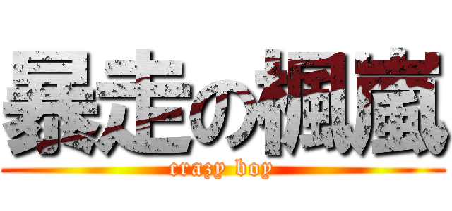 暴走の楓嵐 (crazy boy)