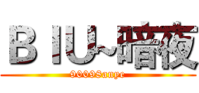 ＢＩＵ~暗夜 (90098anye)