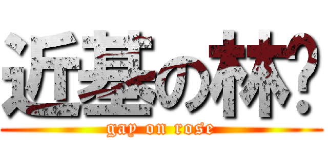 近基の林胜 (gay on rose)