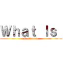 Ｗｈａｔ Ｉｓ  (Multimedia)