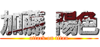 加藤 陽色 (attack on titan)