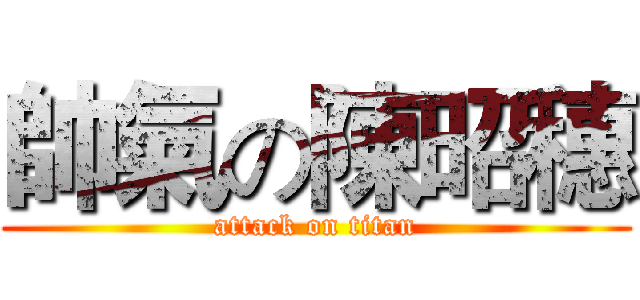 帥氣の陳昭穗 (attack on titan)