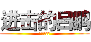 进击的吕鹏 (身高一米七)