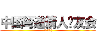 中国弯道情人车友会 (racing)