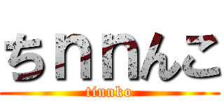 ちｎｎんこ (tinnko)