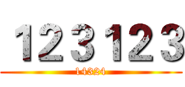１２３１２３ (14324)