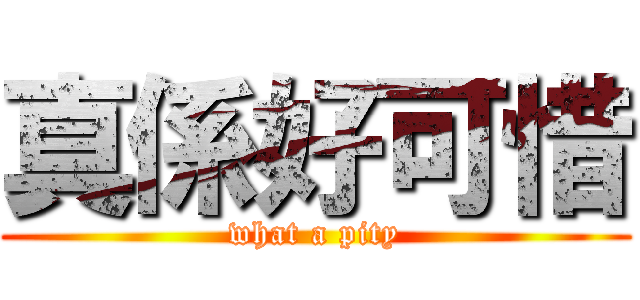 真係好可惜 (what a pity)
