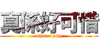 真係好可惜 (what a pity)