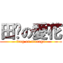 田雞の愛花 (frog on managa)