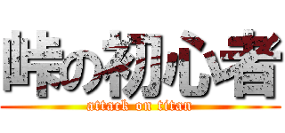 峠の初心者 (attack on titan)