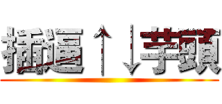 插逼↑↓芋頭 ()