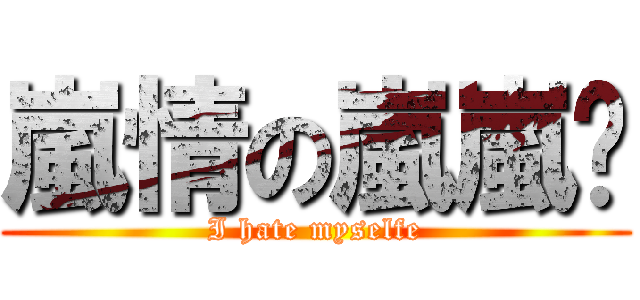嵐情の嵐嵐嚕 (I hate myselfe)