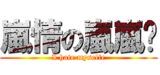 嵐情の嵐嵐嚕 (I hate myselfe)