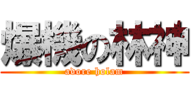 爆機の林神 (adore holam)