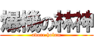 爆機の林神 (adore holam)