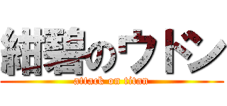 紺碧のウドン (attack on titan)