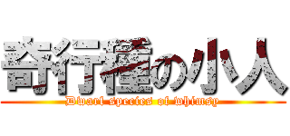 奇行種の小人 (Dwarf species of whimsy)