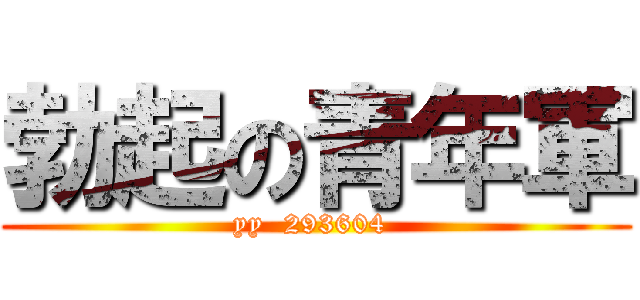 勃起の青年軍 (yy  293604 )