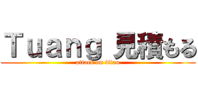 Ｔｕａｎｇ 見積もる (attack on titan)