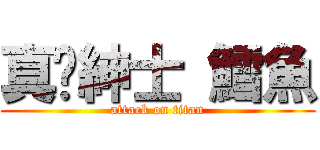 真·紳士 鱈魚 (attack on titan)