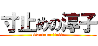 寸止めの淳子 (attack on tintin)