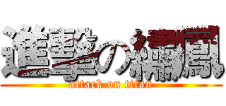 進擊の繡鳳 (attack on titan)