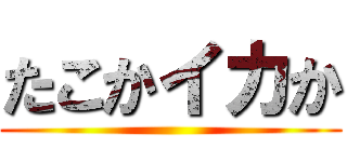 たこかイカか ()