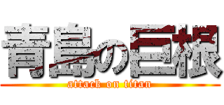 青島の巨根 (attack on titan)