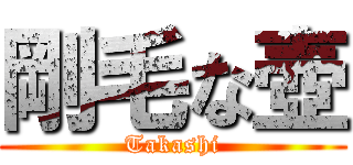 剛毛な壺 (Takashi)