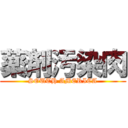 薬剤汚染肉 (SOUTH AMERICA)