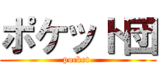 ポケット団 (pocket )