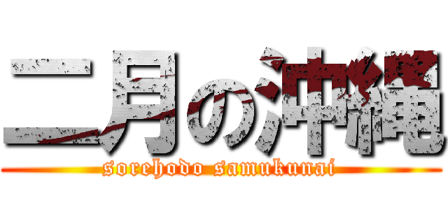 二月の沖縄 (sorehodo samukunai)